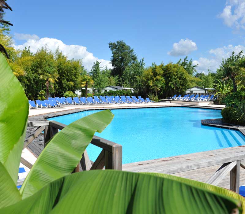 Piscine Camping Nature Landes